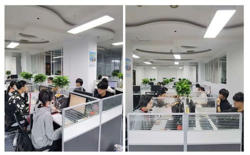 成都市成華區第七次全國人口普查咨詢熱線正式開通，為您提供便捷信息咨詢服務